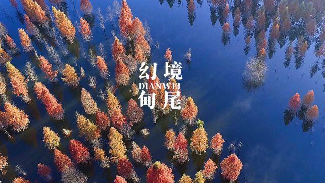 获评“最受消费者欢迎卤味品牌” ,周黑鸭打造中国卤味品牌新样本