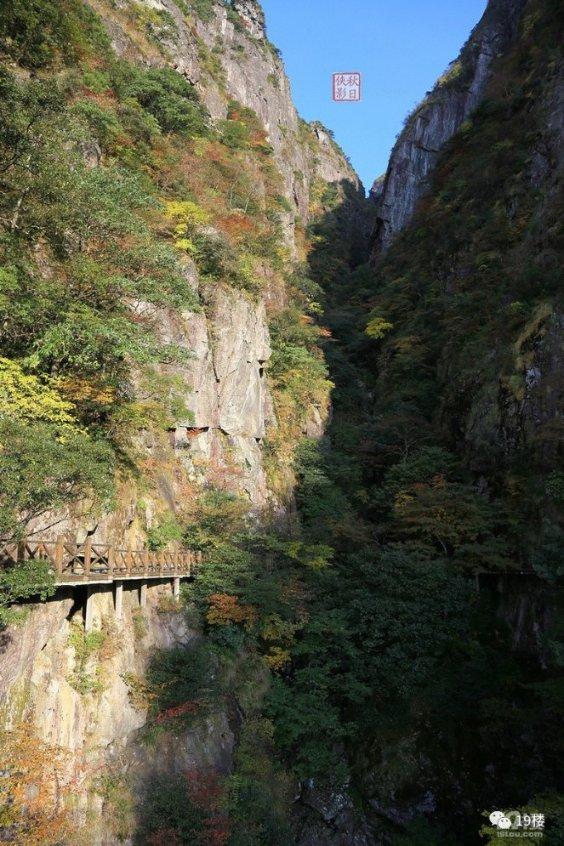 多问多答,尽在为什么平台币总是通不过优质回答?交流平台